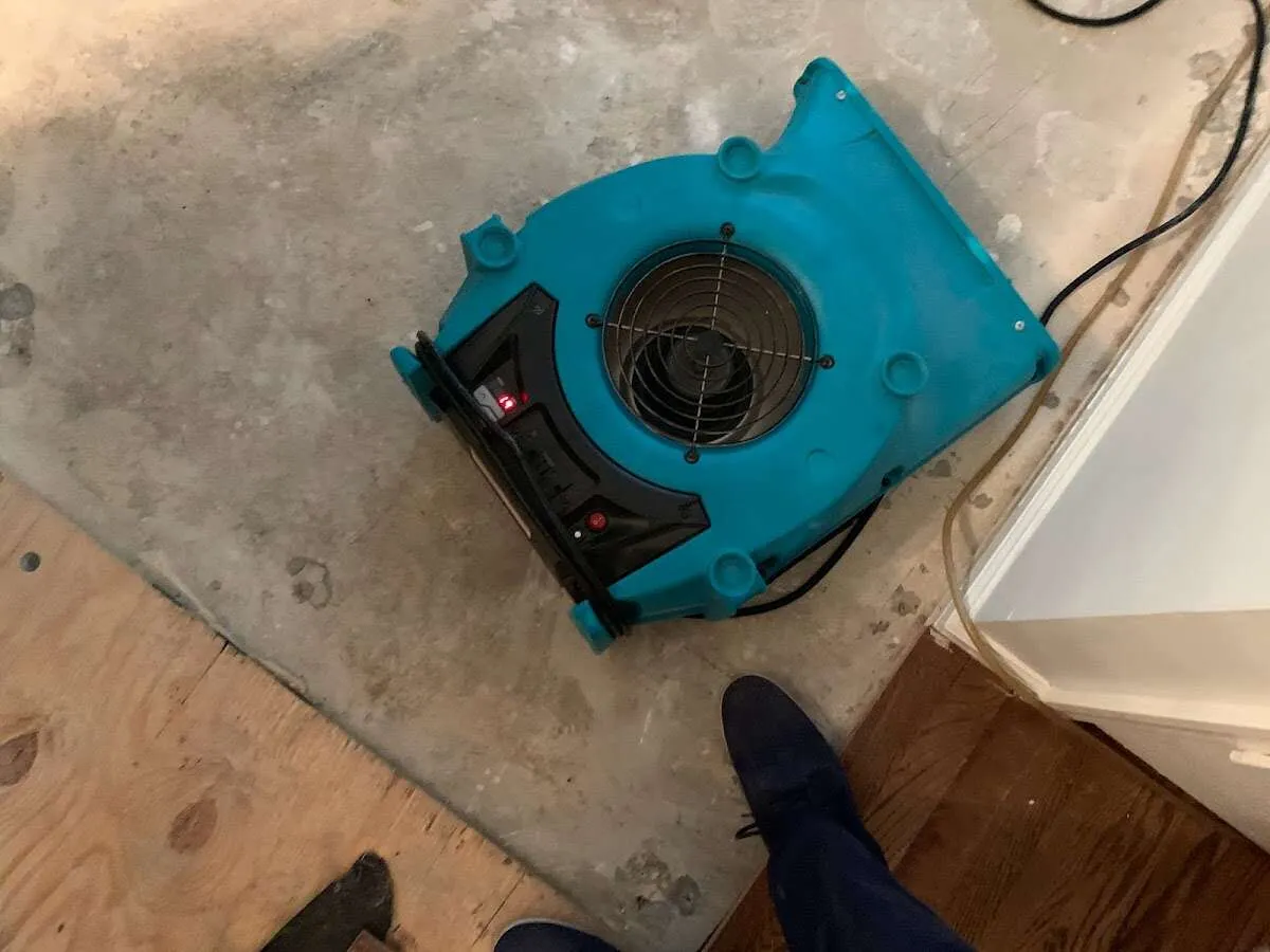 Air mover drying subfloor during Leak Detection & Repair in Keene
