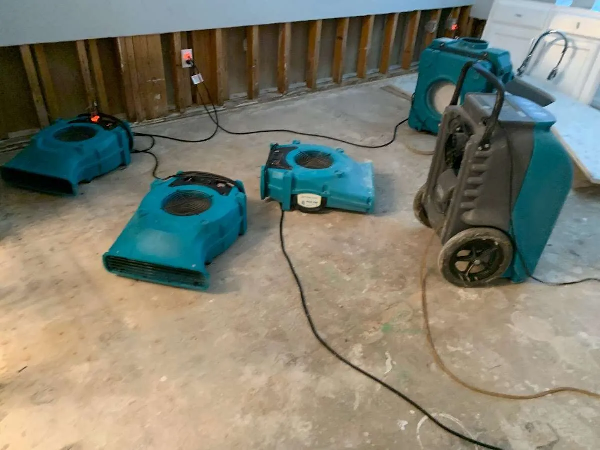 Water Mitigation Services in Keene, TX